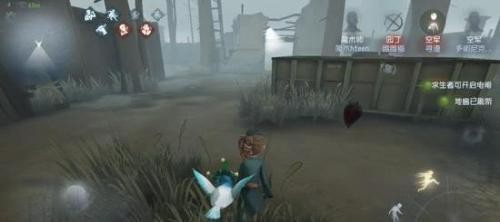 第五人格测试服