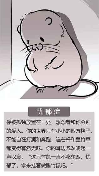 竹鼠活下去官方最新安卓版