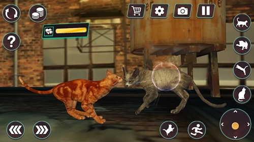 CatFightingBattleSimulator手机版游戏