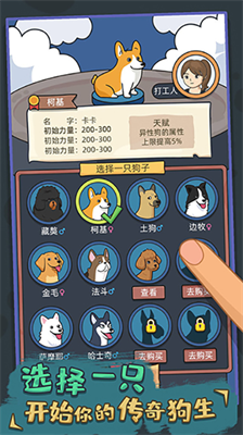 狗生模拟器破解版无限金币免广告版