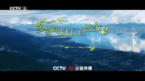爱尚电视t