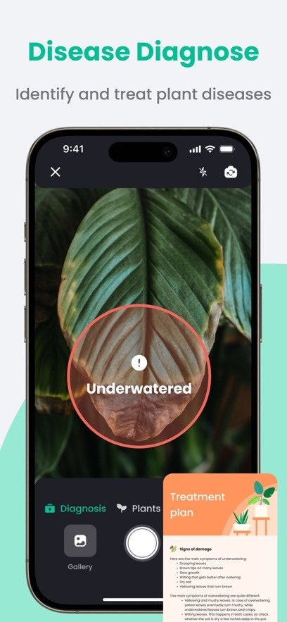 PlantIn植物识别app手机版