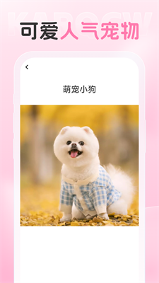 爱炫相机