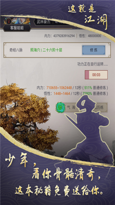 这就是江湖破解版