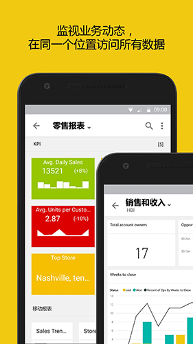 PowerBIapp