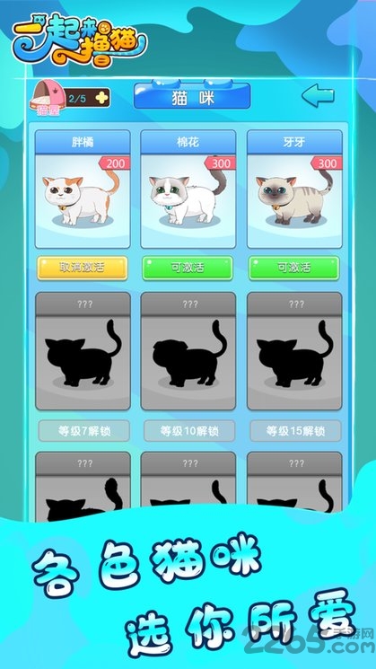 一起来撸猫最新版