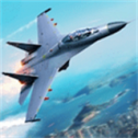 搏击长空无限战机单机安卓版