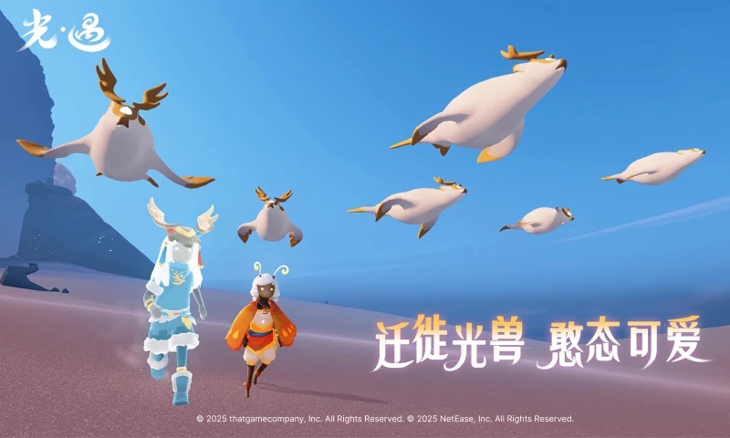 光遇网易官方正版