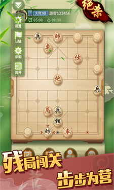 象棋大师