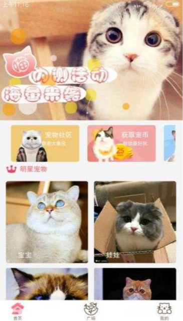 猫咪