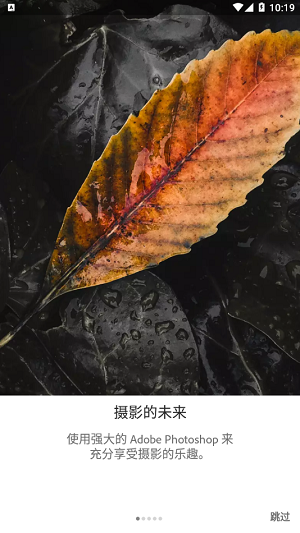 lr手机版