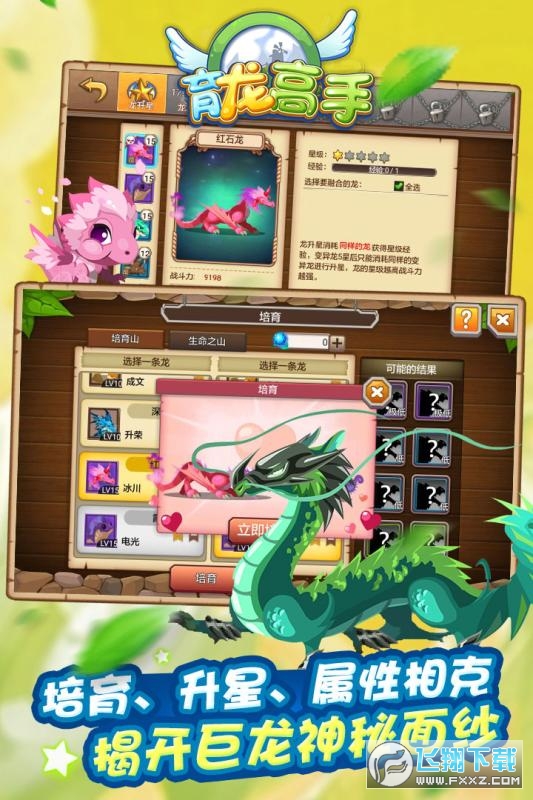 育龙高手