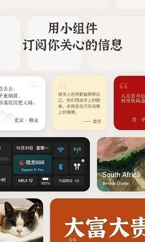 灵动岛