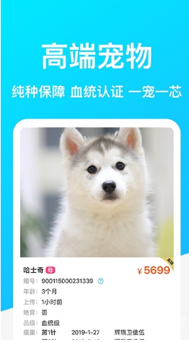 DogBreeds狗品种