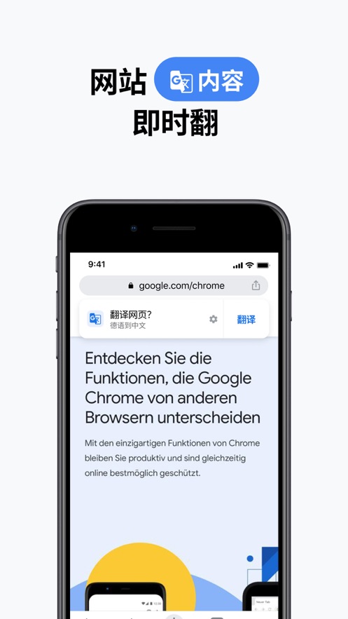 谷歌chrome浏览器 离线版