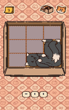 盒子猫