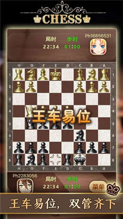 国际象棋