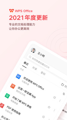 wps专业版