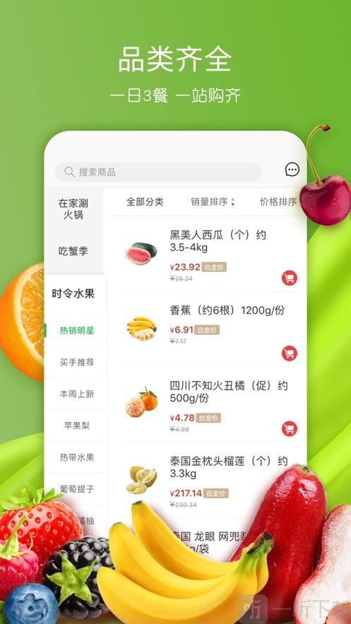 全球蛙