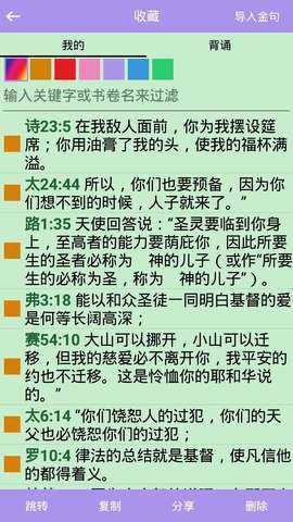 精读圣经大字版