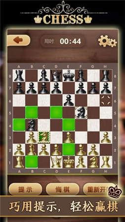 国际象棋