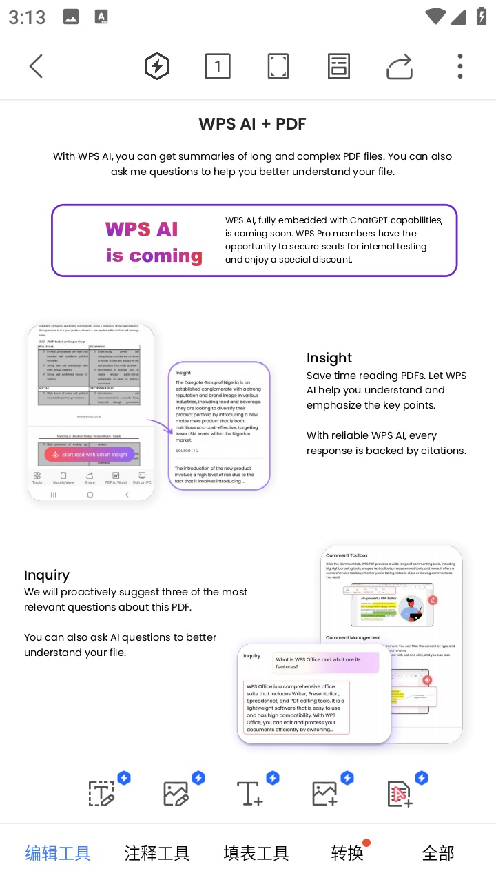 wps国际版