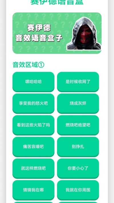 赛伊德语音盒