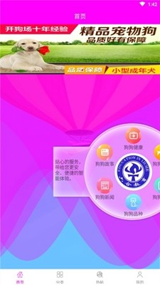 小奶狗抖音版