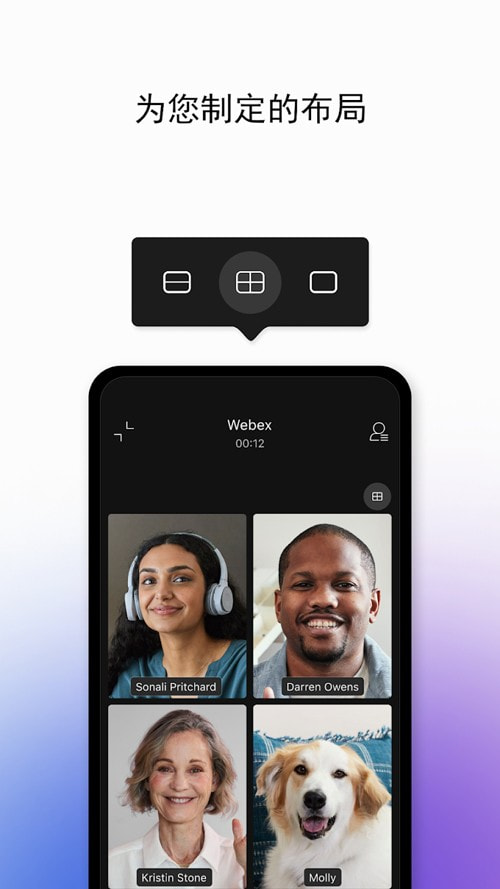 webex 官方正版