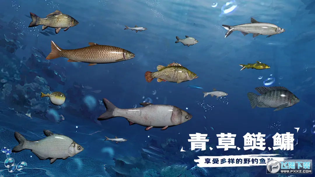天天钓鱼达人专用版2024最新版