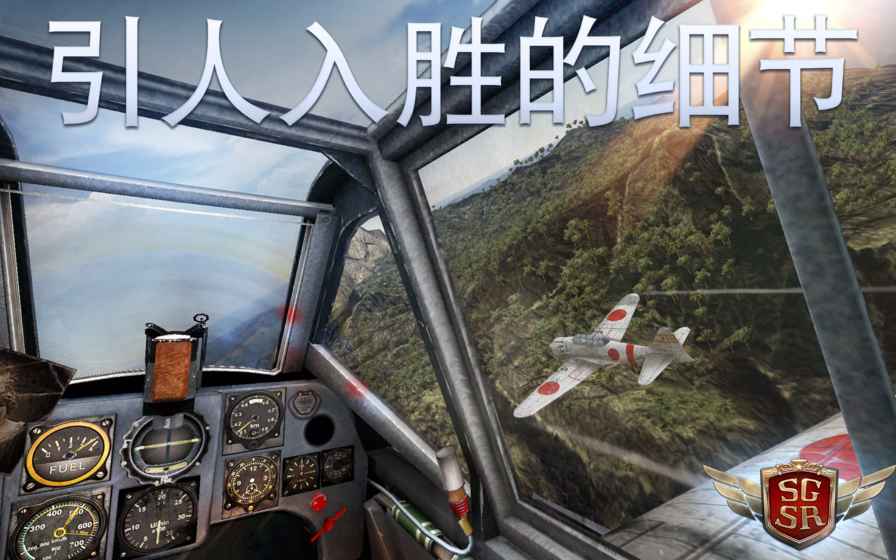 搏击长空：风暴特工队 正版