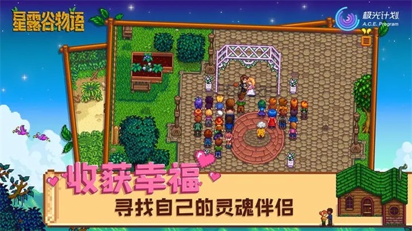星露谷物语 原版