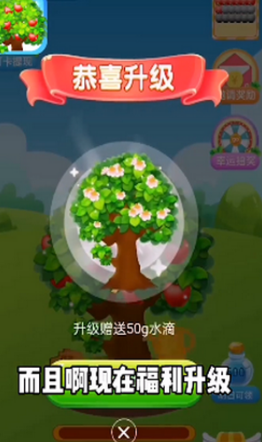 快乐果园
