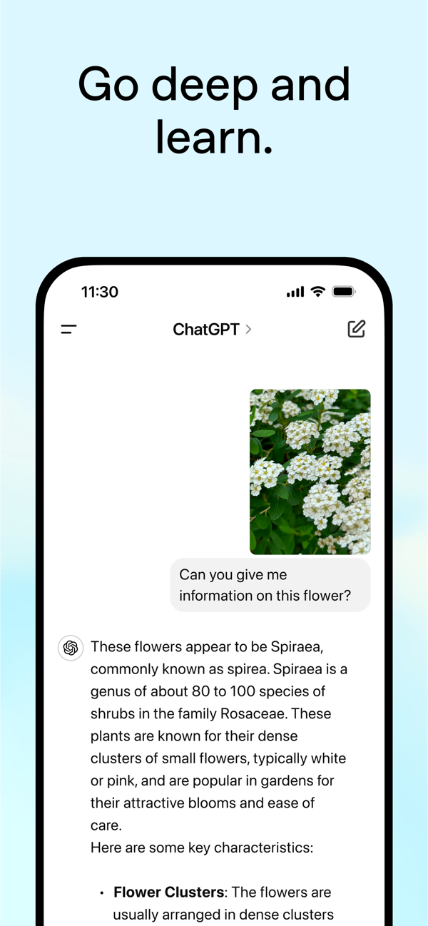 chatgpt官网版