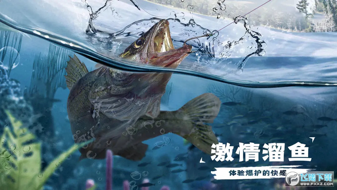 天天钓鱼