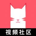 猫咪视频 在线免费无限观看
