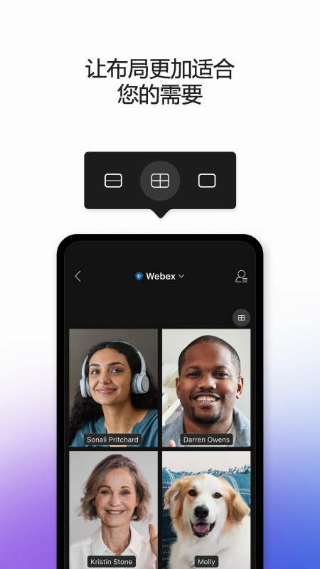 Webex meeting