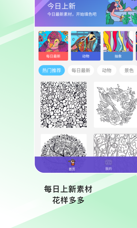 paint数字填色正版下载安装