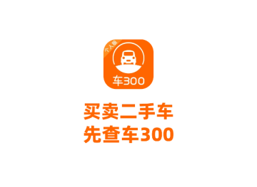 车300二手车app