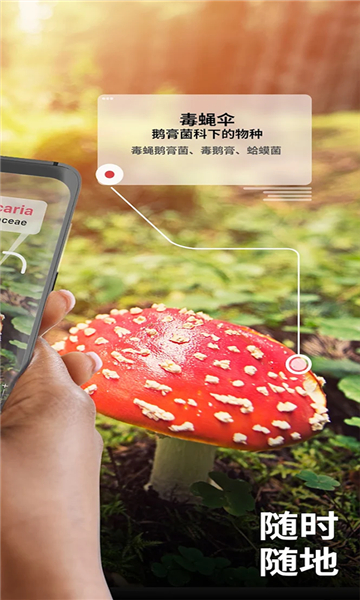 蘑菇识别助手(Picture Mushroom)