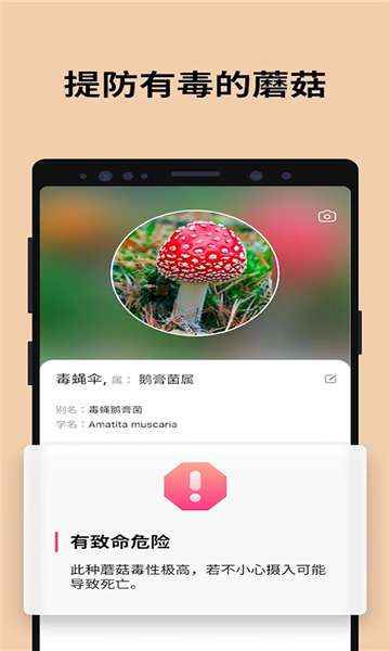 蘑菇识别助手(Picture Mushroom)