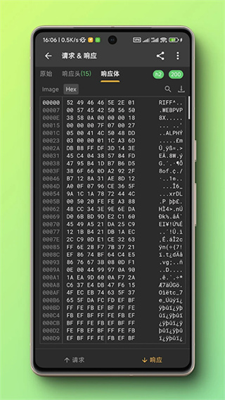 小黄鸟app最新版(httpcanary)