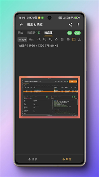 小黄鸟app最新版(httpcanary)
